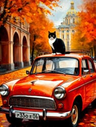 кот и машина