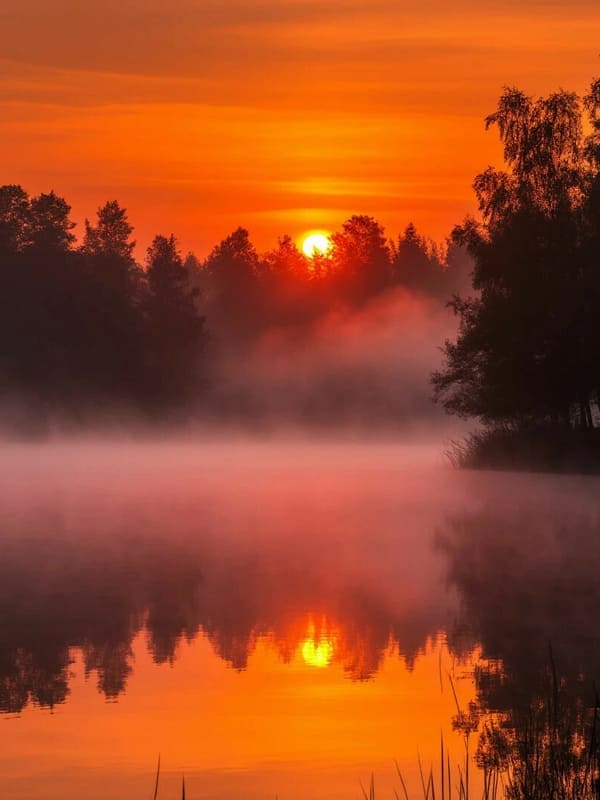 Закат в лесу ночь туман и озеро отражение солнца