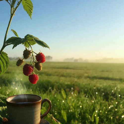 Картинка создана в сервисе Гига чат малина 